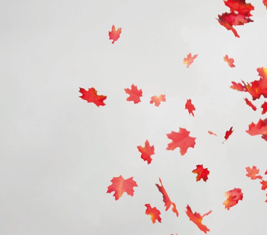 © Congress Messe Innsbruck