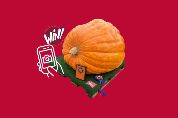 Kürbis-Gewinnspiel auf der Innsbrucker Herbstmesse | © Canva / Congress Messe Innsbruck / Florian Wildauer Kürbis-Gewinnspiel auf der Innsbrucker Herbstmesse | © Canva / Congress Messe Innsbruck / Florian Wildauer