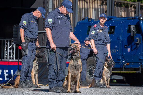 Polizei-Hunde-Vorführung auf der Innsbrucker Herbstmesse | © Congress Messe Innsbruck Polizei-Hunde-Vorführung auf der Innsbrucker Herbstmesse | © Congress Messe Innsbruck